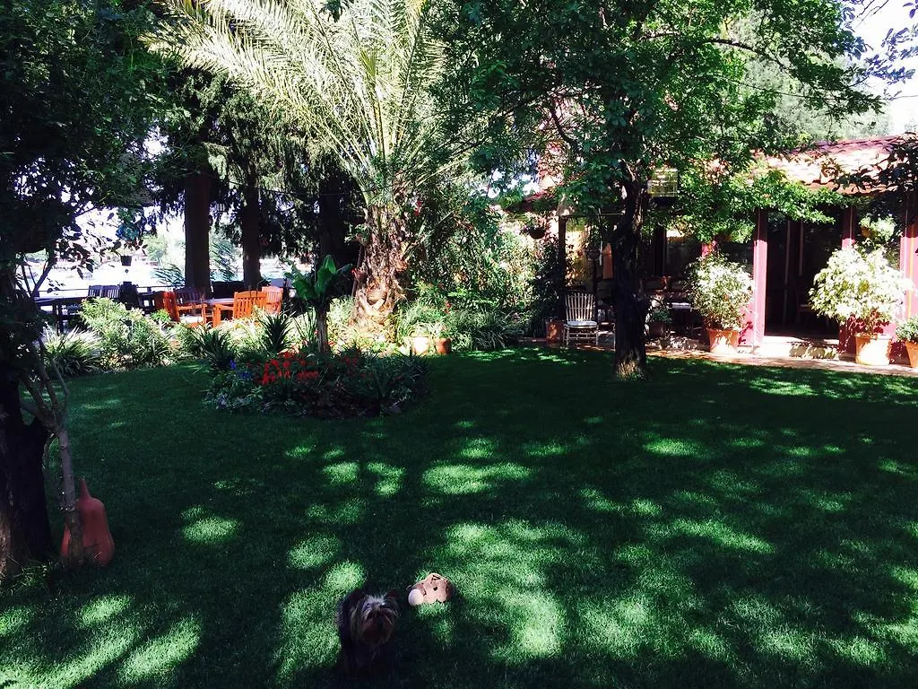 Guest house Hotel Happy Caretta Dalyan