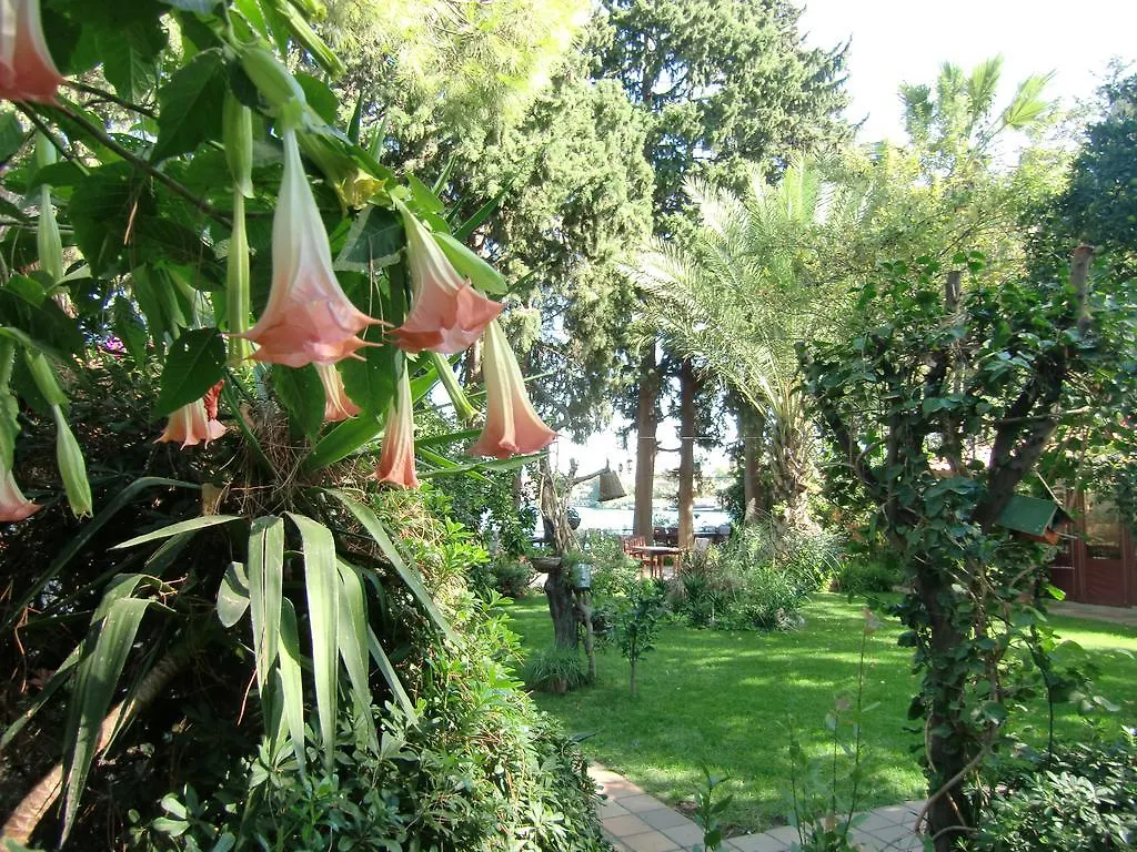 Guest house Hotel Happy Caretta Dalyan