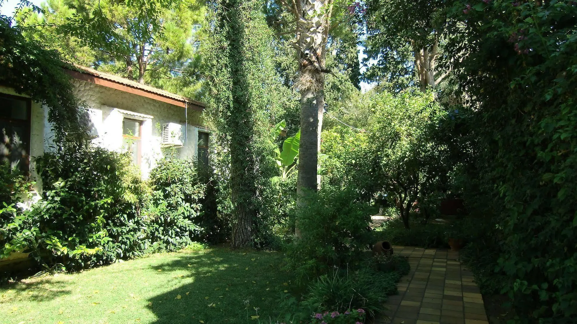 Guest house Hotel Happy Caretta Dalyan